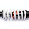 AuryngMD Rear Coilover Shock Alloy Steel-1