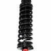 DJ-Motor Rear Shock Stainless Steel 270mm 250LBS-0