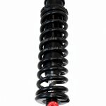 DJ-Motor Rear Shock Stainless Steel 270mm 250LBS-0