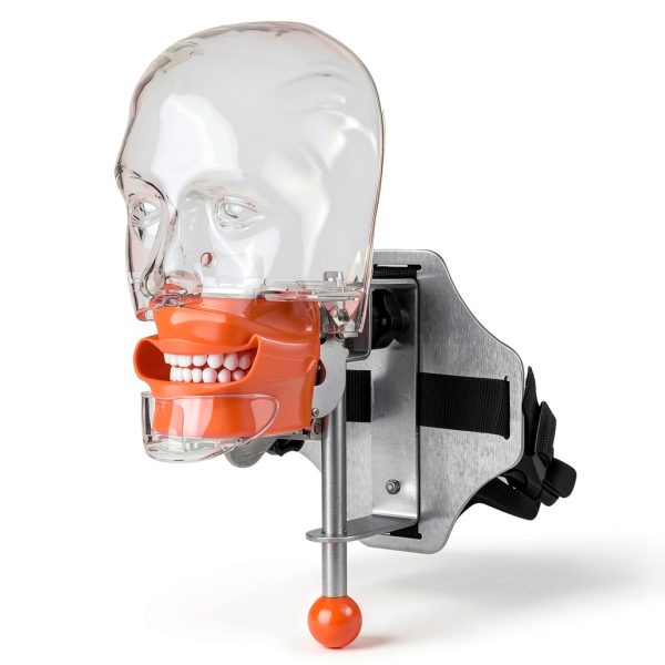 Tankredrug Dental Typodont Manikin 1:1 High Fidelity Simulation Head-4