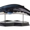 Scientific Art Model Stand Holder V2 by PNSO Black A4 Roll-3