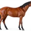 4D Horse Anatomy Model SORECI Skeleton Specimen 26-Part Detachable-3