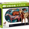 4D Horse Anatomy Model SORECI Skeleton Specimen 26-Part Detachable-6