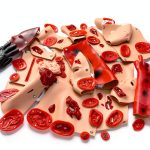 Trauma Manikin 43PCS Moulage Kit by PreAsion CPR Training Model-0