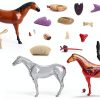 4D Horse Anatomy Model SORECI Skeleton Specimen 26-Part Detachable-4