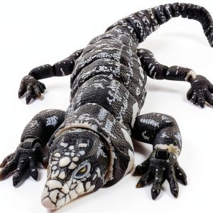 3D Printed Realistic Tegu Replica by Lukes Lizards White Model Animal-0