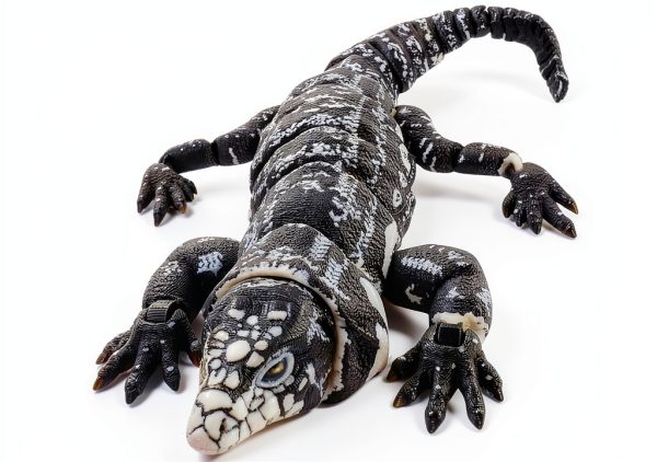 3D Printed Realistic Tegu Replica by Lukes Lizards White Model Animal-0